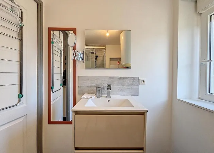 Apartman Joli Le Rosa Bonheur, Proche De La Gare Yzeure